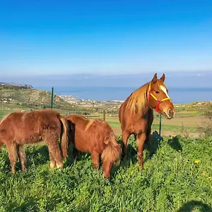 Panoramica Sul Mare Valderice